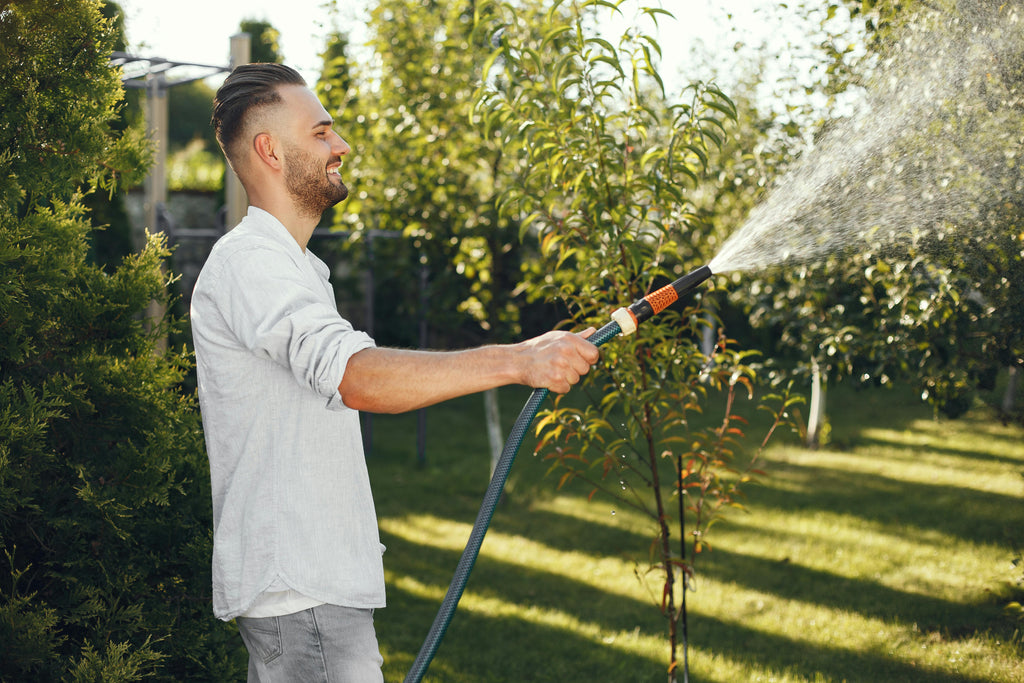 Votre jardin, votre sanctuaire : pourquoi prendre soin de lui change tout